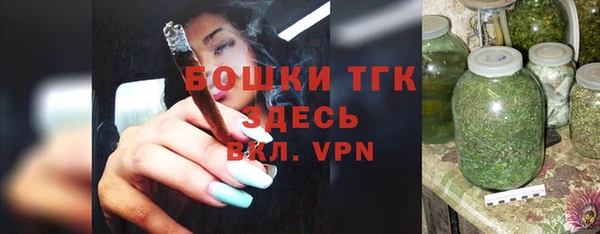 крисы Новодвинск