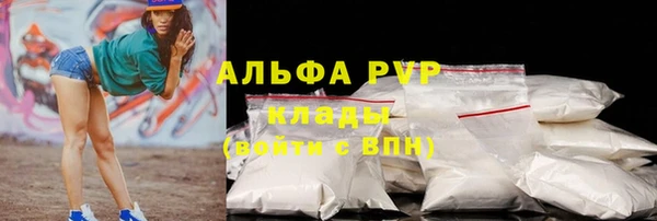 крисы Новодвинск
