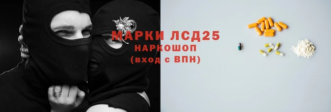 крисы Новодвинск