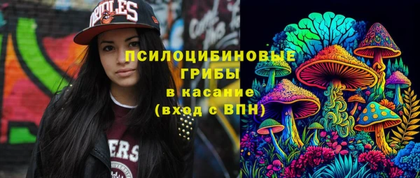 крисы Новодвинск