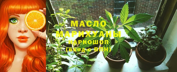 крисы Новодвинск