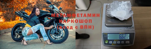 крисы Новодвинск