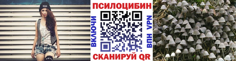 Галлюциногенные грибы Psilocybe Мензелинск